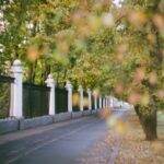 Photo 1 Insurance 2 Protection